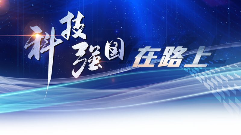 供应链管理：未来就业市场的黄金赛道