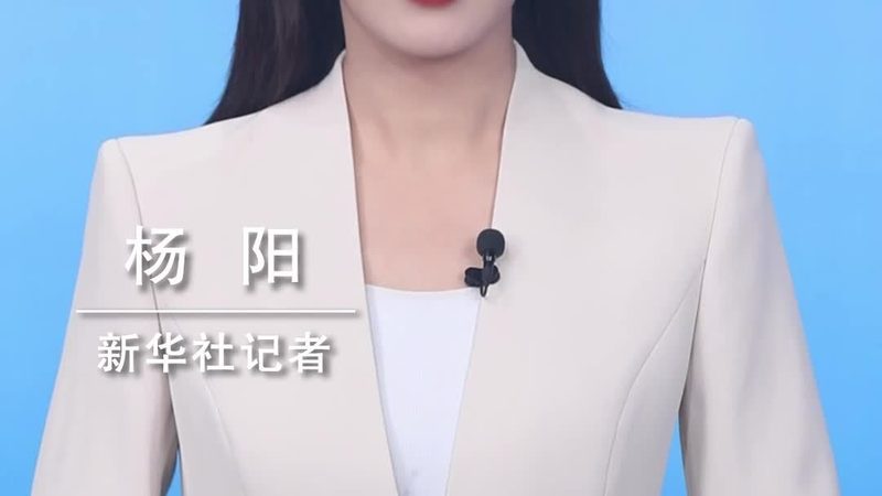 数据可视化平台：揭示其优势与挑战